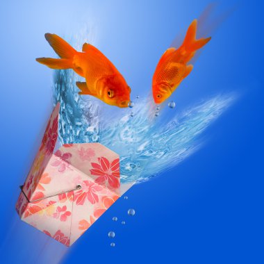 Japon balığı atlama.