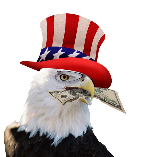 American Bald Eagle. — Stock Photo, Image