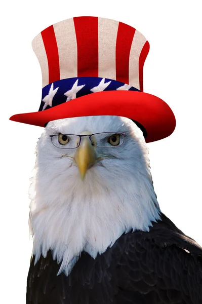 Uncle Sam Eagle. — Stockfoto