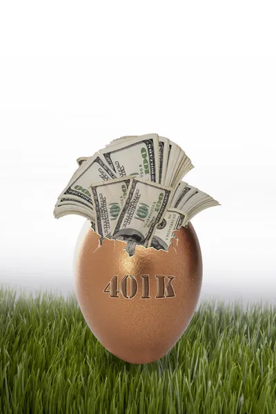 401 k 둥지 계란. — 스톡 사진
