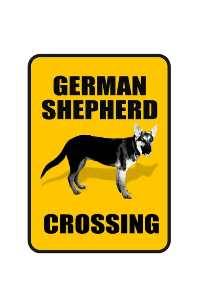 ドイツの羊飼い — ストック写真