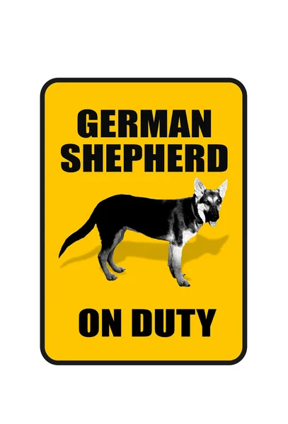 ドイツの羊飼い — ストック写真