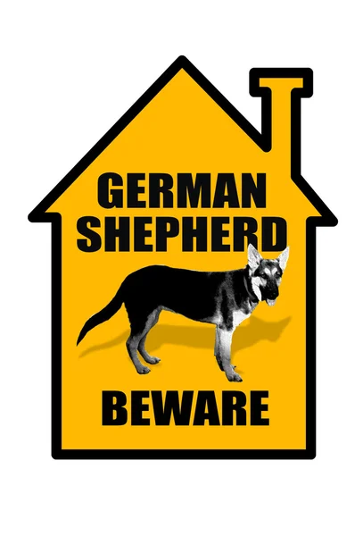 Deutscher Schäferhund — Stockfoto