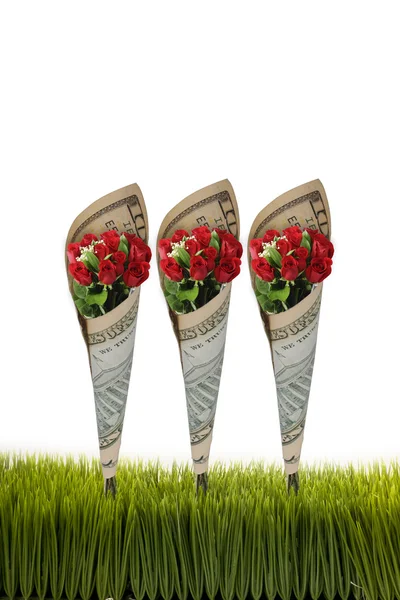 Rozen en geld. — Stockfoto