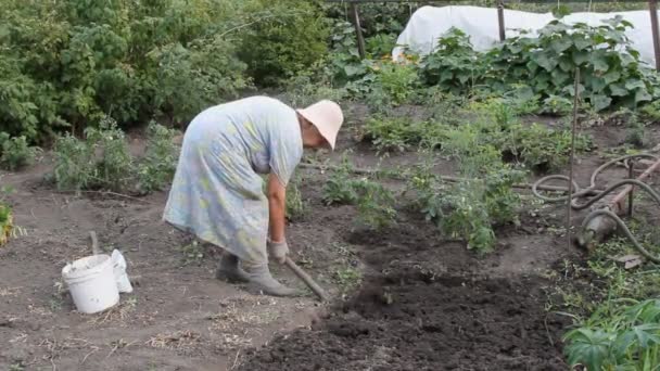 The gardener — Stock Video