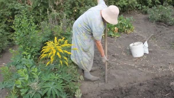 El jardinero — Vídeos de Stock