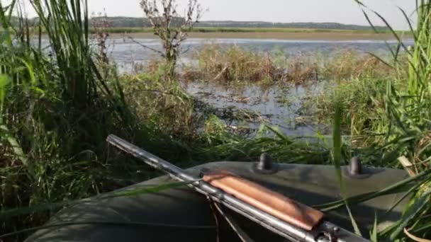 На полювання — стокове відео