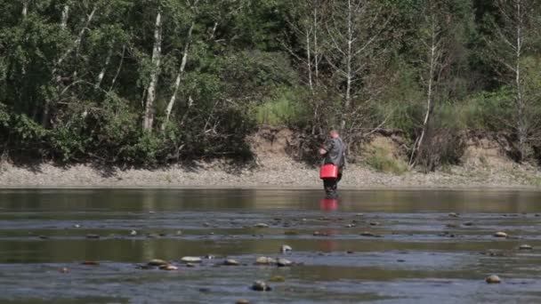Риболовля — стокове відео