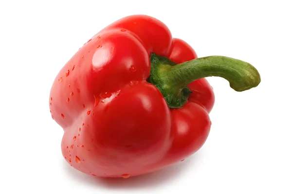 Red pepper Stock Image
