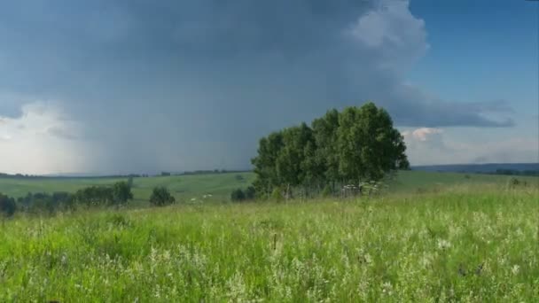 Літній день — стокове відео