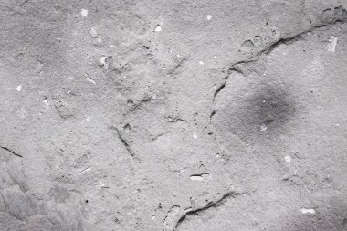 kirli dokulu beyaz duvar