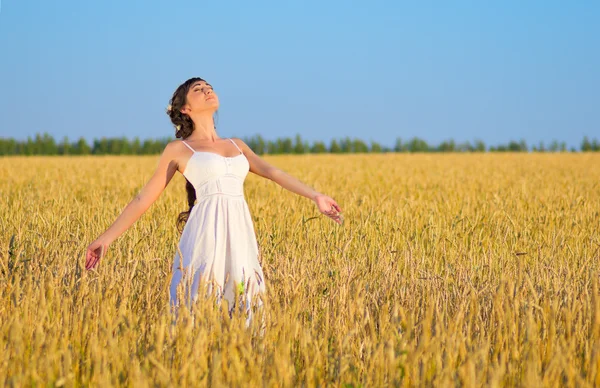 Chica en el campo de trigo — Foto de Stock