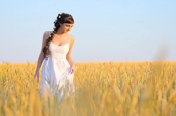 Дівчина на пшеничному полі — стокове фото