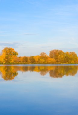 sonbahar forest lake
