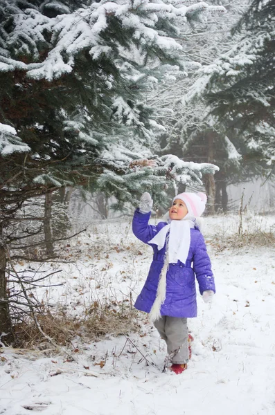 Fille dans la forêt d'hiver — Photo