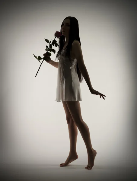 Silhouette of young girl with rose flower on gray — Stock Photo, Image