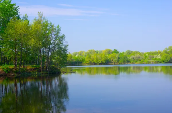 Lesní jezero — Stock fotografie