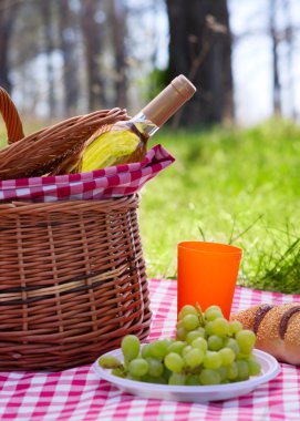 piknik sepeti şişe şarap ve üzüm ile