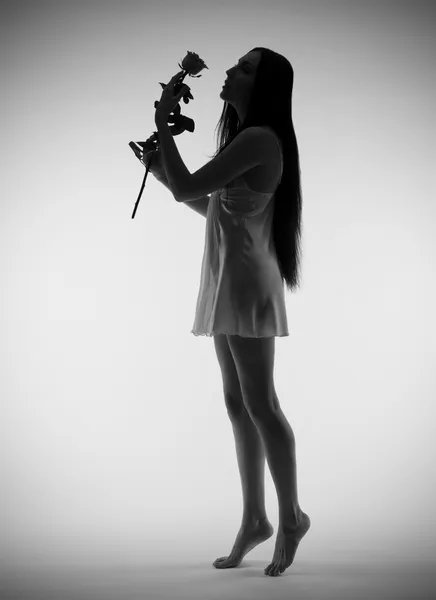 Fiatal lány a grey Rose BackLite portréja — Stock Fotó