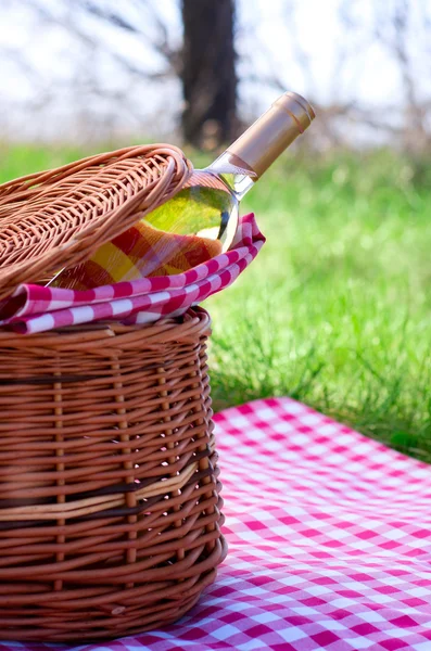 şarap şişesi ile piknik sepeti