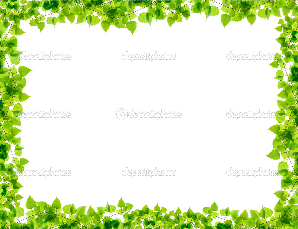Green birch twigs frame