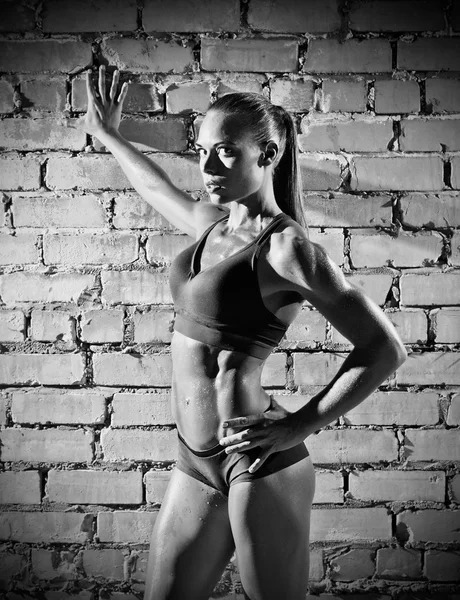 レンガ壁の背景 （モノクロ バージョンに筋肉女性) — ストック写真