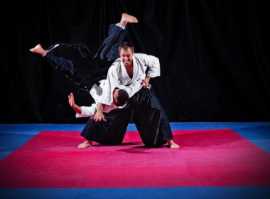 iki aikido savaşçıları mücadele