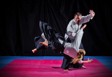 iki aikido savaşçıları mücadele