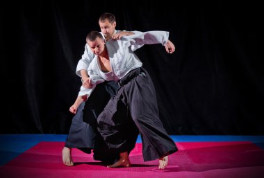 iki aikido savaşçıları mücadele