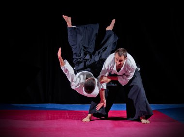 iki aikido savaşçıları mücadele