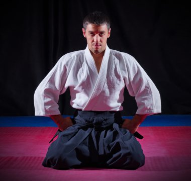 Aikido avcı