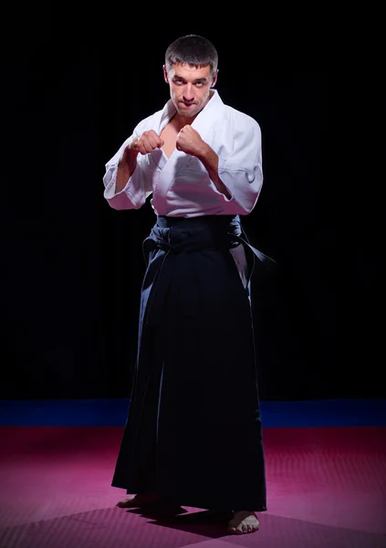 Aikido vechter — Stockfoto