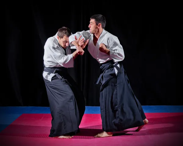 Iki aikido savaşçıları mücadele — Stok fotoğraf