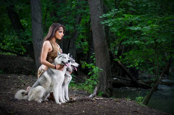 Молодая девушка с собаками — стоковое фото