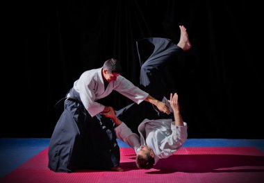Fight between two aikido fighters clipart