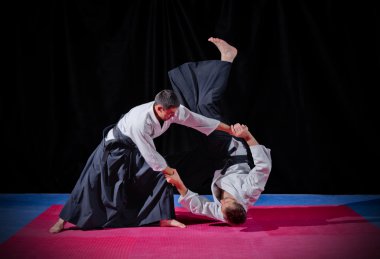 iki aikido savaşçıları mücadele