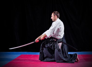 Dövüş sanatları savaşçı katana ile