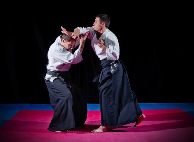 iki aikido savaşçıları mücadele