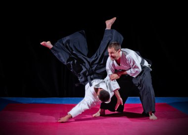 iki aikido savaşçıları mücadele