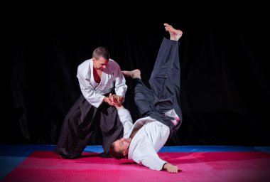 iki aikido savaşçıları mücadele