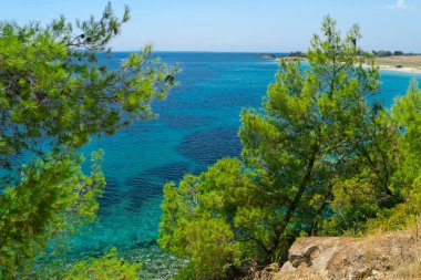 Mavi deniz ve çam ağaçları