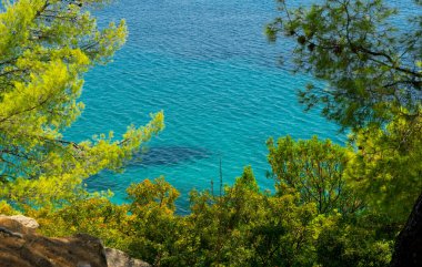 Mavi deniz ve çam ağaçları