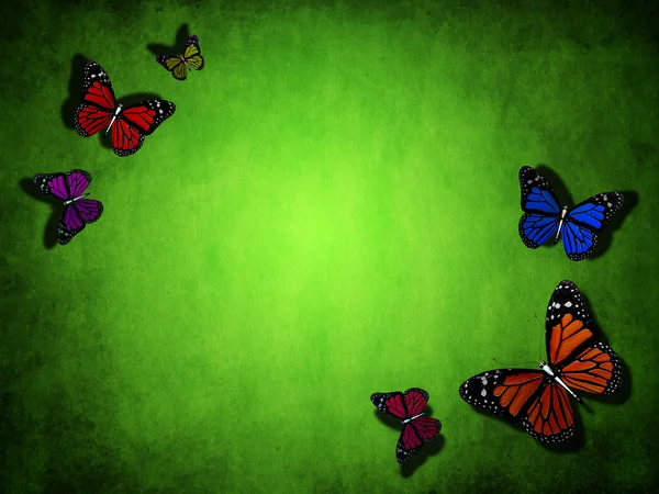 Spring green background with butterfly — Stock Photo, Image