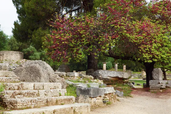 Starożytne ruiny w muzeum archeologicznym w Olimpii. grecja. — Zdjęcie stockowe