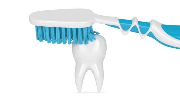 Brosse Dents Brossage Nettoyage Des Dents Sur Fond Blanc — Video