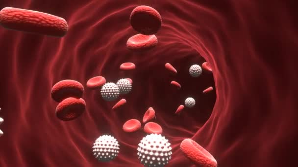 血液循环系统中红细胞流经血管的三维医学动画研究 — 图库视频影像