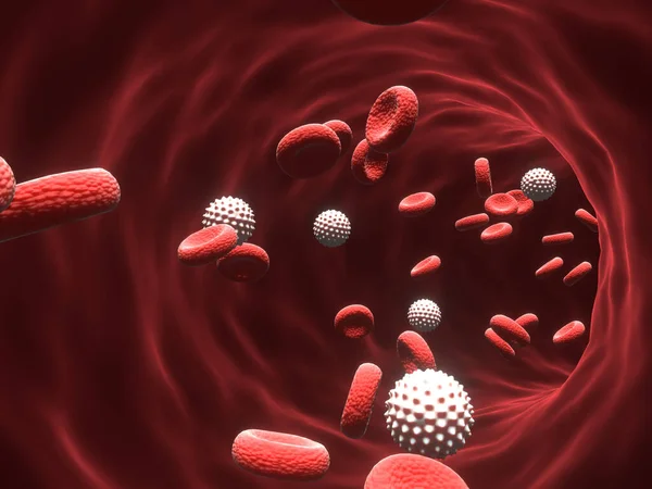 3d render of Red and White Blood Cells Flow Through Blood Vessel In Circulatory System