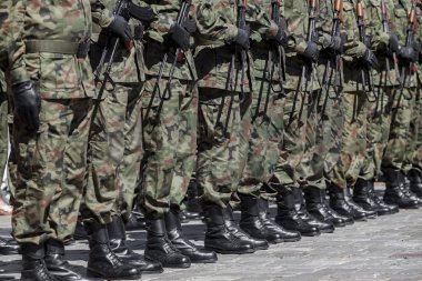 Polish army - military parade clipart
