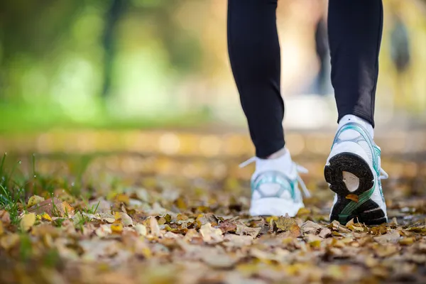 Caminar en paisajes otoñales, hacer ejercicio al aire libre —  Fotos de Stock