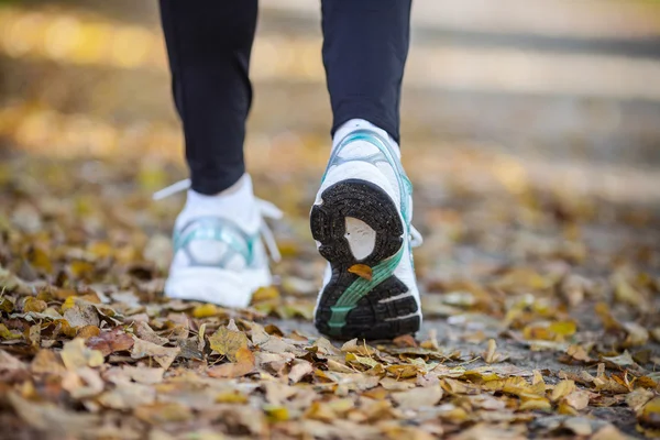 Caminar en paisajes otoñales, hacer ejercicio al aire libre — Foto de Stock